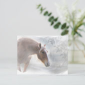 雪の中の馬の挨拶はがき シーズンポストカード (スタンド正面)