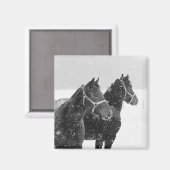 雪の中の馬 マグネット (正面/裏面)