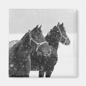 雪の中の馬 マグネット (正面)