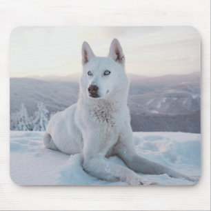雪の中の魅惑的な白いハスキー犬 マウスパッド