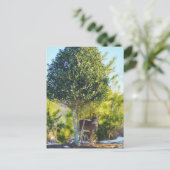 雪の中の鹿とホリーベリーツリー ポストカード (スタンド正面)