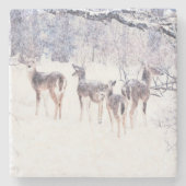 雪の中の鹿の冬のアートコースター ストーンコースター (正面)