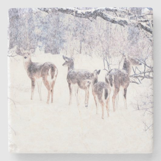 雪の中の鹿の冬のアートコースター ストーンコースター (正面)
