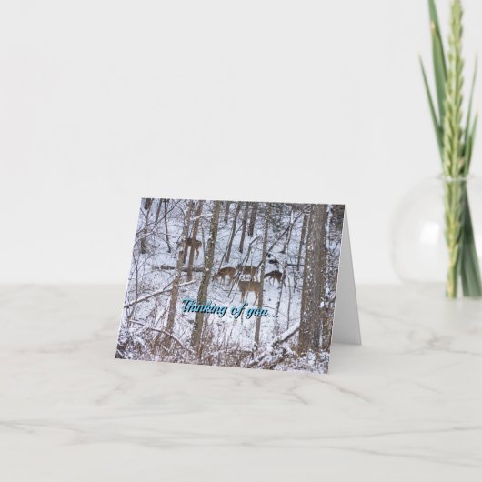 雪の中の鹿の考える家族のカード カード (正面)