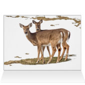 雪の中の鹿 (内部横(上))