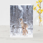 雪の中の鹿 カード (黄色い花)