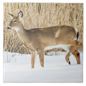 雪の中の鹿 タイル (正面)