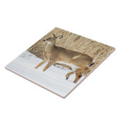 雪の中の鹿 タイル (側面)