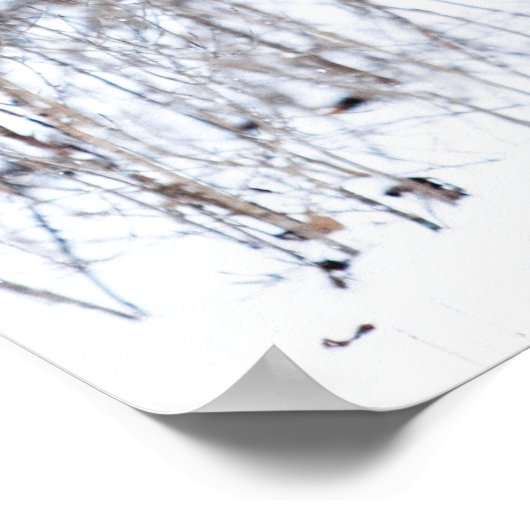 雪の中の鹿 ポスター (角)