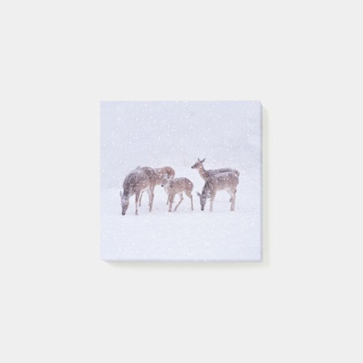雪の中の鹿 ポストイット ノートパッド (正面)