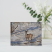 雪の中の鹿 ポストカード (スタンド正面)