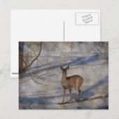 雪の中の鹿 ポストカード (正面/裏面)