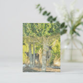 雪の中の鹿 ポストカード (スタンド正面)