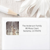 雪の中の鹿 ラベル (インサイチュ)