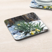 雪の中の黄色の水仙 コースター (左側)