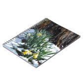 雪の中の黄色の水仙 ノートブック (左側)