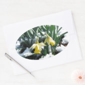 雪の中の黄色の水仙 楕円形シール (封筒)