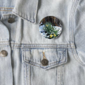 雪の中の黄色の水仙 缶バッジ (インサイチュ)