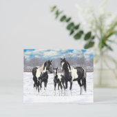 雪の中の黒いピント絵を描4分の1馬 ポストカード (スタンド正面)