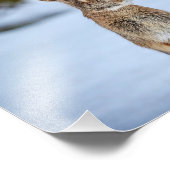 雪の中の10x8うさぎ フォトプリント            (角)