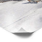 雪の中の14x11東ブルーバード踊り フォトプリント            (角)