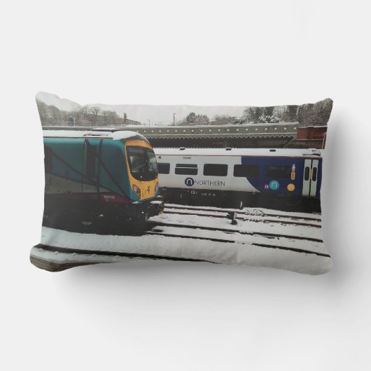 雪の中の2本の列車 アウトドアクッション (正面)