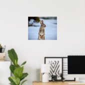 雪の中の20x16うさぎ ポスター (ホームオフィス)