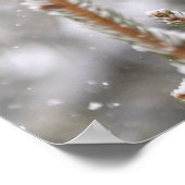 雪の中の20x16赤い背の高い木ペッカー ポスター (角)