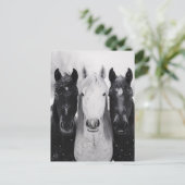 雪の中の3頭の馬 ポストカード (スタンド正面)