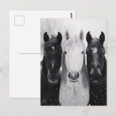 雪の中の3頭の馬 ポストカード (正面/裏面)