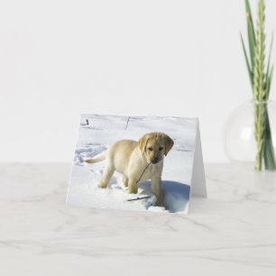 雪の中のLRの黄色のラブラドール・レトリバーの子犬 カード