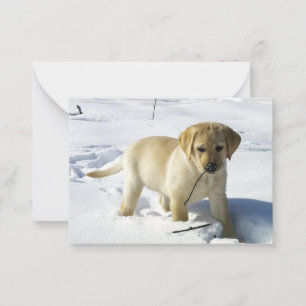 雪の中のLRの黄色のラブラドール・レトリバーの子犬 ノートカード