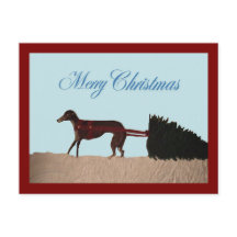 雪の中をクリスマスツリーを引っ張るグレイハウンド
