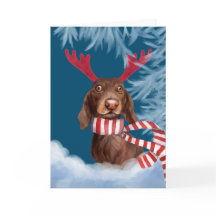 雪の中をダックスフント