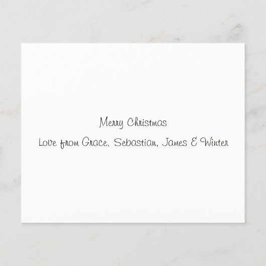 雪の中を予算ダックスシュント (裏面)