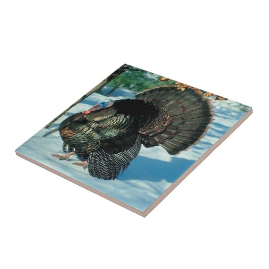 雪の中を歩く七面鳥 タイル (側面)