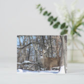 雪の中を深い ポストカード (スタンド正面)