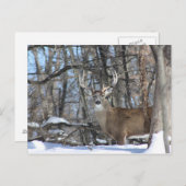 雪の中を深い ポストカード (正面/裏面)