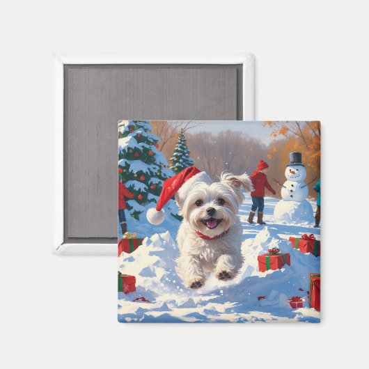 雪の中を走るマルチーズ犬のクリスマス帽 マグネット (正面/裏面)