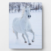 雪の中を走る白馬 フォトプラーク (正面)