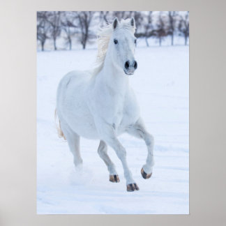 雪の中を走る白馬 ポスター