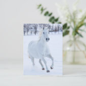 雪の中を走る白馬 ポストカード (スタンド正面)