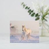 雪の中を走る美しい白馬 ポストカード (スタンド正面)