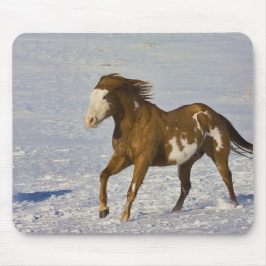 雪の中を走る馬 マウスパッド (正面)