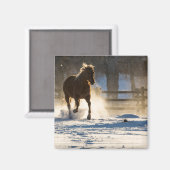 雪の中を走る馬 マグネット (正面/裏面)