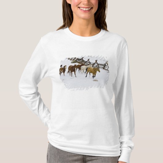 雪の中を走る馬 Tシャツ (正面)