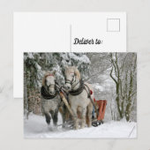 雪の中を馬そりで駆ける二頭の白馬 ポストカード (正面/裏面)
