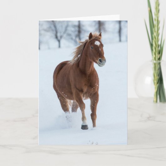 雪の中を駆ける一頭の馬 カード (正面)