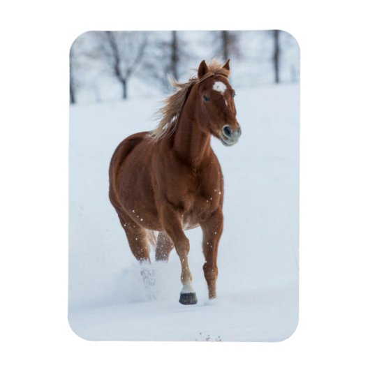 雪の中を駆ける一頭の馬 マグネット (縦)