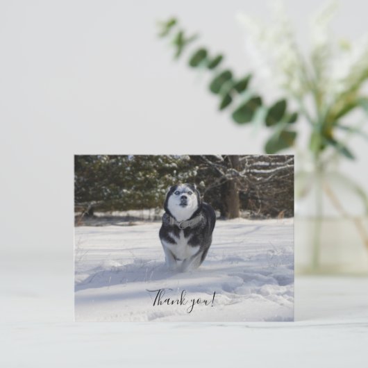 雪の中を駆ける感謝のポストカード ポストカード (スタンド正面)